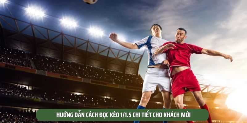 Hướng dẫn cách đọc kèo 1/1.5 chi tiết cho khách mới