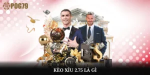 kèo xỉu 2.75 là gì