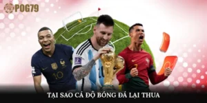 tại sao cá độ bóng đá lại thua